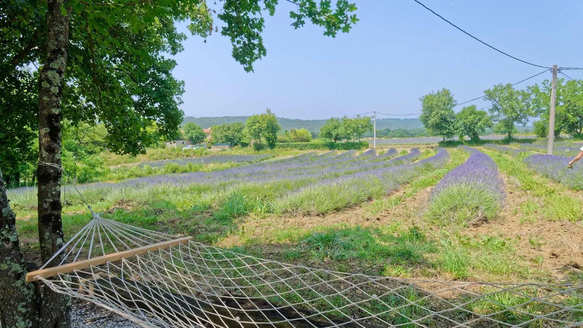Feriehus Holiday House Zatka By Rent Istria Zatka Cepic
